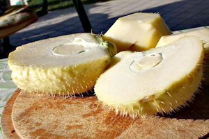 Zucchine spinose
